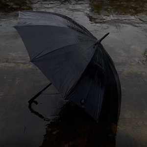 雨中独白