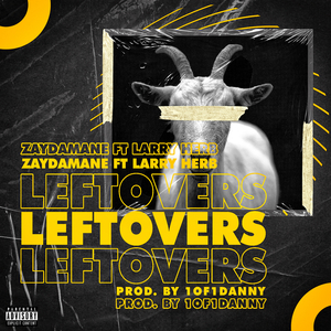 Leftovers