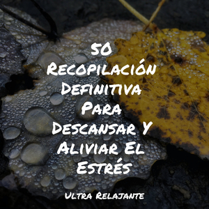 Soñar Sin Preocupaciones