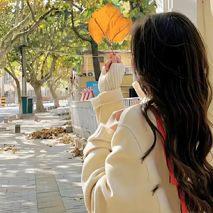 跳楼机(DJ2025版)