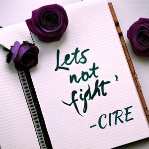 Let's Not Fight
