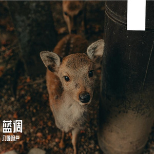 出现又离开(女生） (1).wav