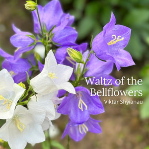 Waltz of the Bellflowers
