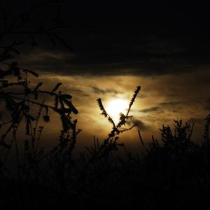 3.who are you（prod by Zane98）