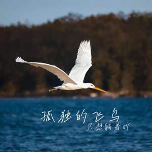 孤独的飞鸟