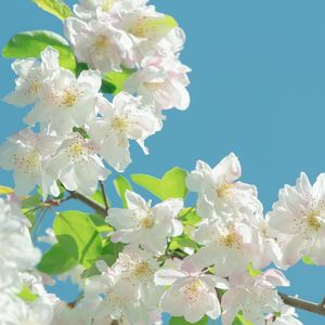 天干地支的纪年