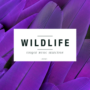 Feel It (Oliver Schmitz & Micah Sherman Remix)