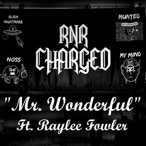Mr. Wonderful (feat. Raylee Fowler)