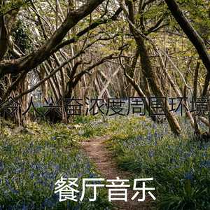 安静的浓度声音
