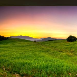 阳光下的星星 (高潮版)