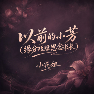 以前的小芳(缘分短短思念长长)
