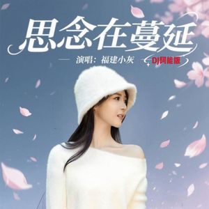 思念在蔓延 (DJ版)