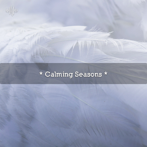 Relaxing Meditation Music