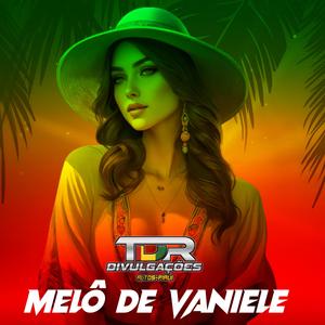 MELÔ DE VANIELE (REGGAE REMIX 2024)
