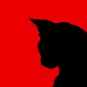 仲夏心跳备忘录