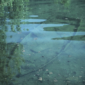 professional empathy