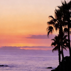 橘色海（微醺版）