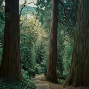 Bhomora || ভোমরা || Batar bhitore kotora || New Song 2022