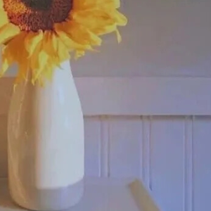 The pure white world is full of snow