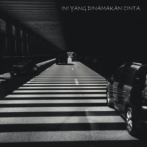 Ini Yang Dinamakan Cinta (Remix)