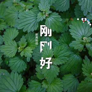 安和桥（cover王贰浪）（翻自 王贰浪）