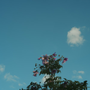 エデン部署 (feat. 裏命)