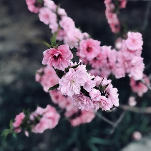 時の流れに身をまかせ（我只在乎你）