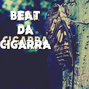 Beat da Cigarra FUNK