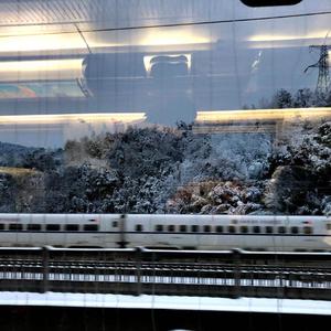 被宠惯的人 伴奏