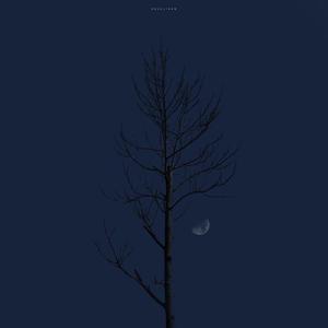 像鱼_幕后工作者