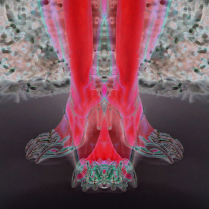 Baddiewock (Conjunto Media Luna Doombia Remix)