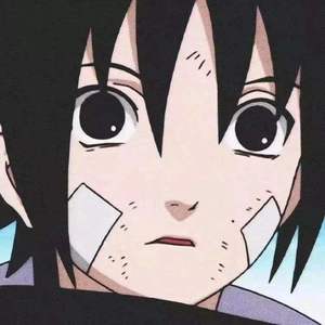 我看过蝙蝠不自见