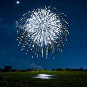 这辈子有你就足够