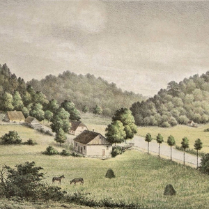 Joy Valley