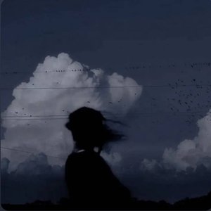 无人认领的夜晚