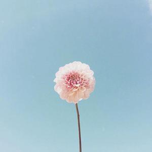 大海翻唱
