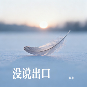 没说出口