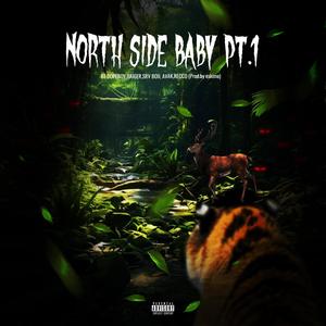 Northside Baby Pt. 1 (feat. GAIGER, SRV BOII, AVAK & Recco)