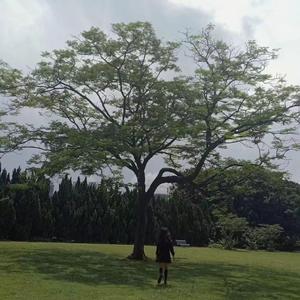 很高兴能遇到你