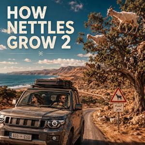 How Nettles Grow 2