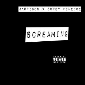 Screaming (feat. Corey Finesse)