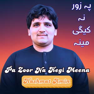 Pa Zoor Na Kegi Meena