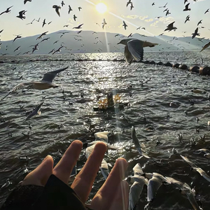像风一样越过群山