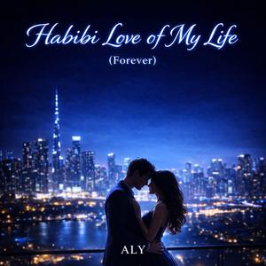 Habibi Love of My Life (Forever)