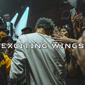 Exciting Wings