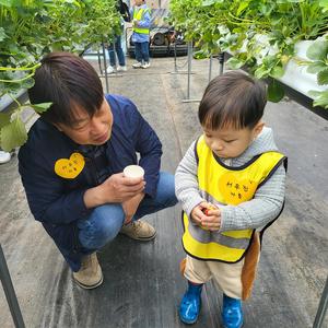 이런게 사랑인가요