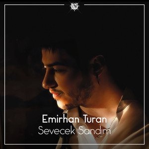 Sevecek Sandım (Remix)