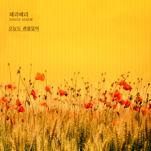 오늘도 괜찮았어 (Inst.)