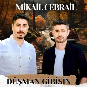 Düşman Gibisin