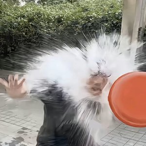 孙卫红